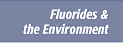 flour_env